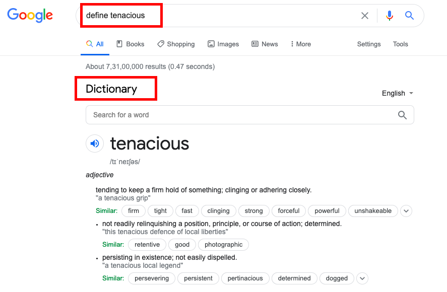 Find definition of words on Google